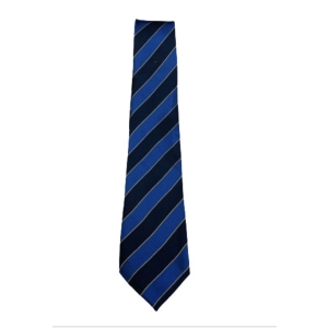 Hendon School Tie Y 7, Hendon School