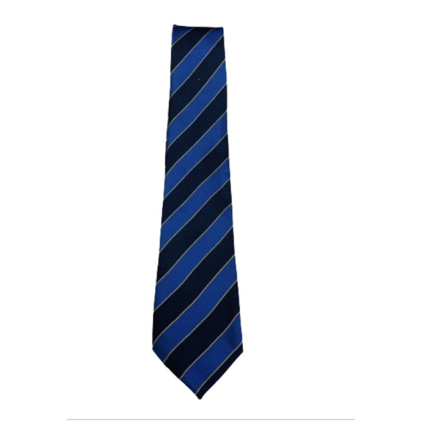 Hendon School Tie Y 7, Hendon School