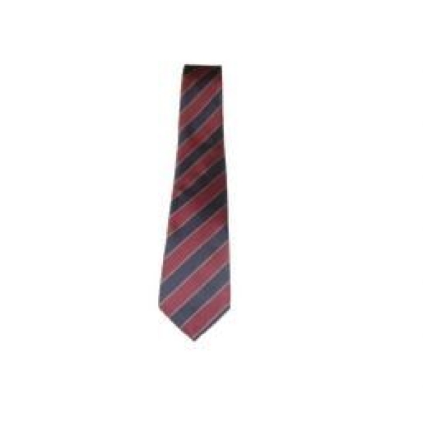 Hendon School Tie Y 11, Hendon School